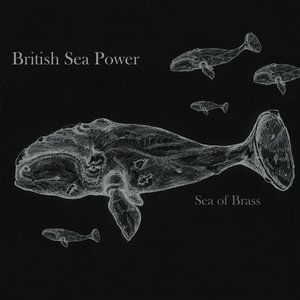 'Sea of Brass'の画像