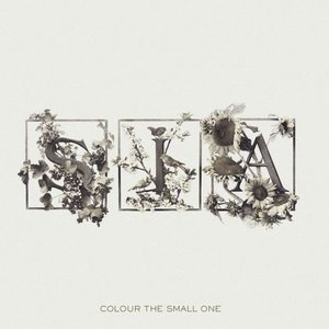 “Colour The Small One [Us Release]”的封面