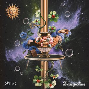 Image for 'trampoline'