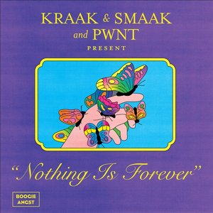 Image for 'Nothing Is Forever'