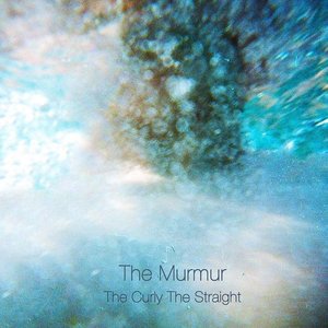 Image for 'The Curly The Straight'