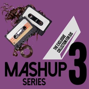 Image for 'Mashup Series, Vol. 3 (The Exclusive Collection for DJs)'