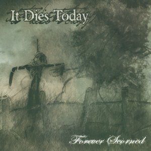 “Forever Scorned”的封面
