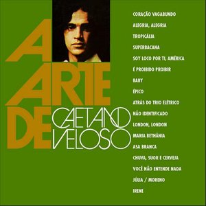 Image for 'A Arte de Caetano Veloso'