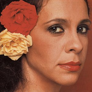 Image for 'Gal Costa'