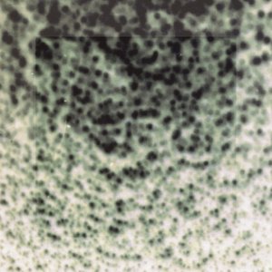 Image for 'Marble Sky'