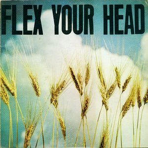 Изображение для 'Flex Your Head'