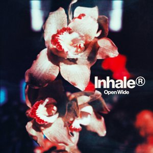 Image for 'Open Wide'