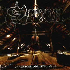 'Unplugged And Strung Up / Heavy Metal Thunder' için resim