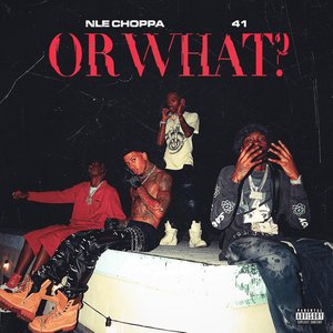 Image for 'Or What'
