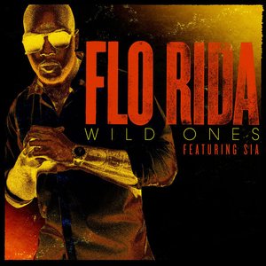 Image for 'Wild Ones (feat. Sia) - Single'