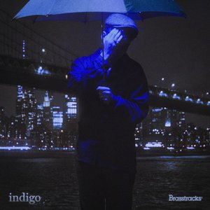 Image pour 'Indigo'