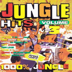 “Jungle Hits, Vol. 3”的封面