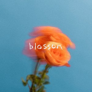 Image for 'Blossom'