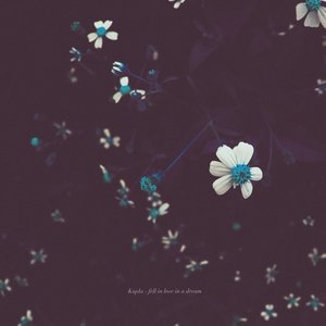 “fell in love in a dream”的封面