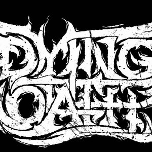 Image for 'Dying Oath'
