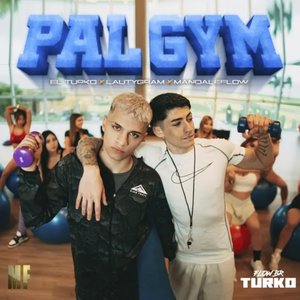 Image for 'PAL GYM'