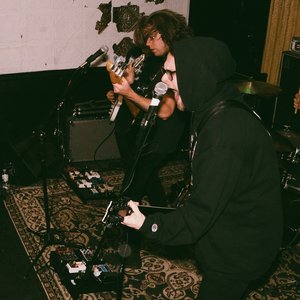 'Bird Law'の画像