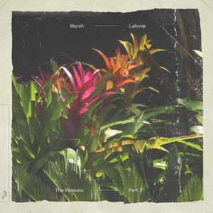 Image for 'Lailonie (The Remixes: Part 2)'