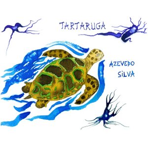 Image for 'Tartaruga'