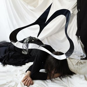 Image for 'Holistic'