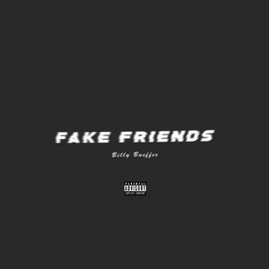 Image for 'Fake Friends'