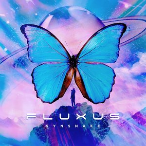 “Fluxus”的封面