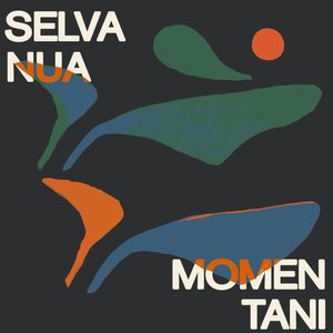 Image for 'Momentani'