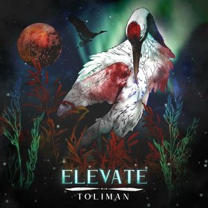 Image for 'Elevate'