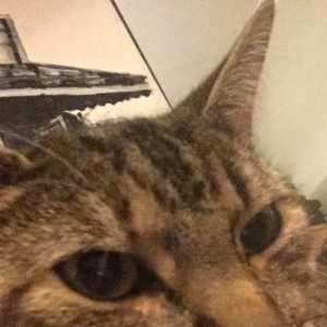 stinkybeans