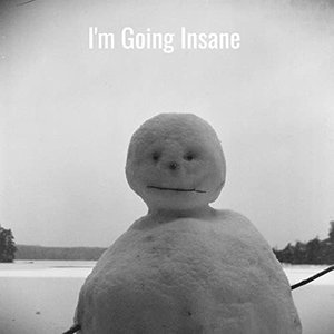 Image for 'I'm Going Insane'