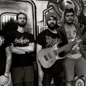 Image for 'Canyon Literature'