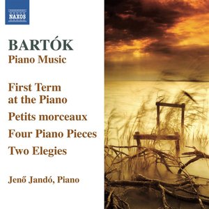 Image for 'Bartók: Piano Music, Vol. 6'