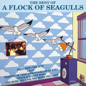 Bild für 'The Best of a Flock of Seagulls'