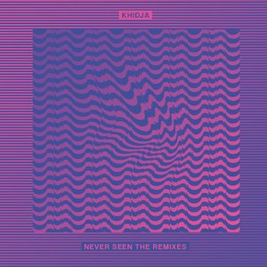 'Never Seen The Remixes' için resim
