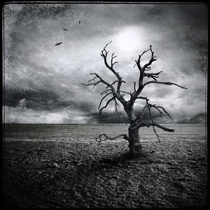 Image for 'Tree Of Woe'