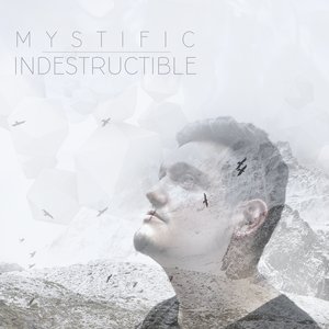 Image for 'Indestructible (Tropicaliente)'