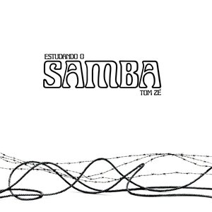 Image for 'Estudando o samba'