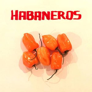 “Habaneros”的封面