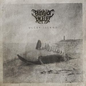 Image for 'Ulcer Island'