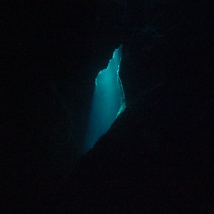 Image for 'WANDER/WONDER'