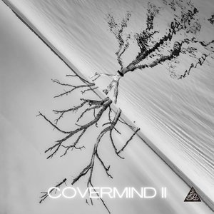 Image pour 'COVERMIND II'