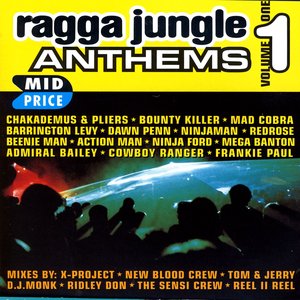 Imagem de 'Ragga Jungle Anthems Vol. One'