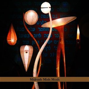 “Midrash Mish Mosh”的封面