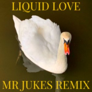 “Liquid Love (Mr Jukes Remix)”的封面