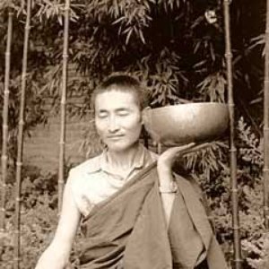 Изображение для '25 Songs Tibetan Bowls, Crystal Bowls & Buddhist Chants - Deep Zen Meditation Music with Singing Bowls and Om Chanting'