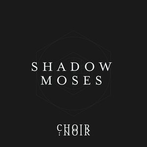 Bild für 'Shadow Moses'