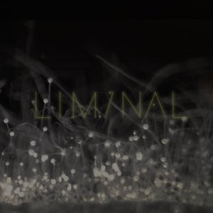 Image for 'Liminal 2'