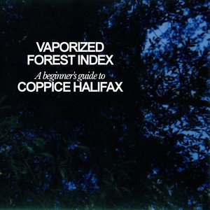 Image for 'Vaporized Forest Index'