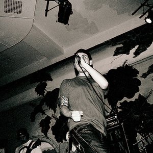 “RZL DZL”的封面